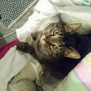 Meet your Posher, Suzanne